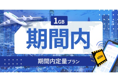 タンザニア 1GB / 期間内