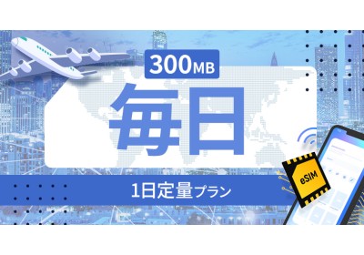 フィジー 毎日 300MB